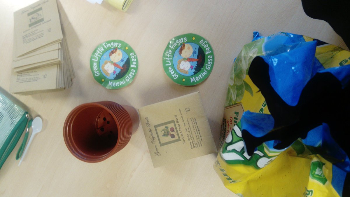 GreenFlag_5's tweet photo. We are very excited to receive a lovely gift in the post from @AinePurcell! We got planting straight away! Àine is doing is doing great work encouraging children to get growing. #greenlittlefingers #biggrow #msoconnellsclass #giy https://t.co/3d9n9KS3Pq