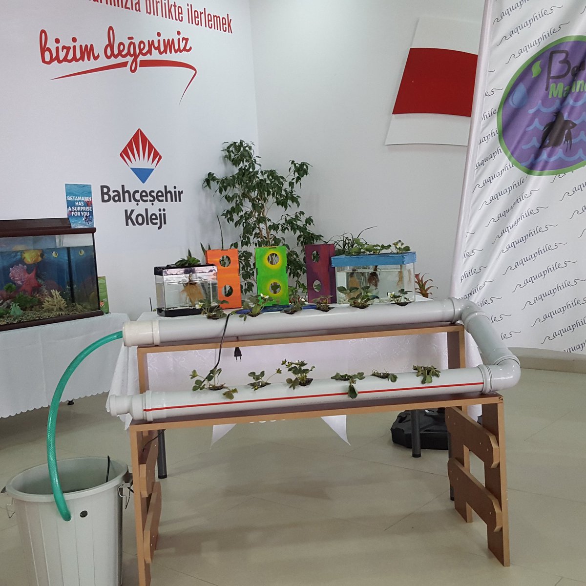 BetaMarine1's tweet photo. Fuar için hazırız #betamarine #aquaphile #çamlıyem #pınarbalık https://t.co/YKll6DdCeJ