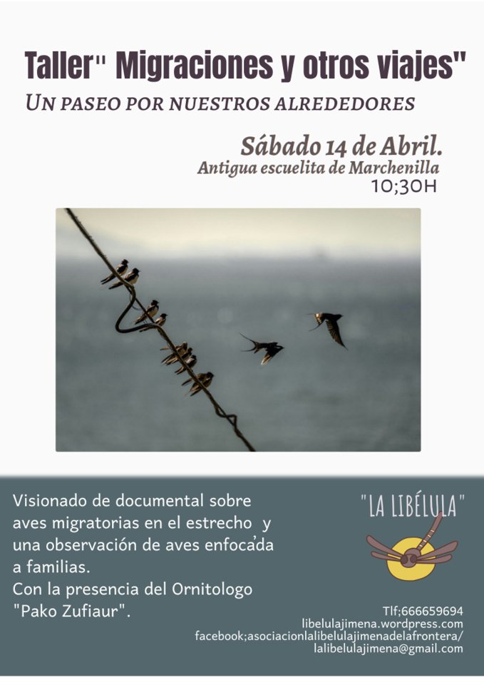 Taller “Migraciones y otros viajes” libelulajimena.wordpress.com/2018/04/11/tal…