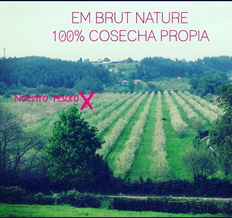 EMBrutnature's tweet photo. Nuestro #Terroir #Pomarada
Al igual que el #Terroir define los grandes vinos EMbrutnature pretende dignificar nuestro #Terroir nuestra #FincaSanJusto #MejorPomaradeAsturias 15/16/17su localización imprescindible en la definición de #EMbrutnature y sus valoradas características https://t.co/xyU9iaJmHy