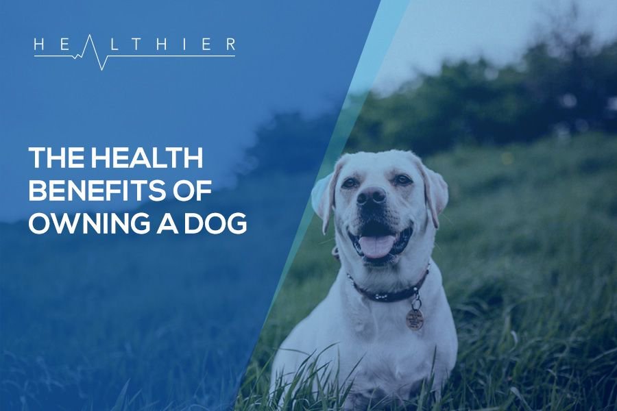 HealthierRec's tweet photo. Do you own a #dog? Research shows that having a pet can benefit your mental #wellbeing, #stress levels and #health.

Read more here: https://t.co/JjmIsVDvvd

#NationalPetDay #healthcare #care #stressrelief #mentalhealth #wellness #nurse #nursing #nurses #jobs #job #work #people https://t.co/uDj9O1G4qM