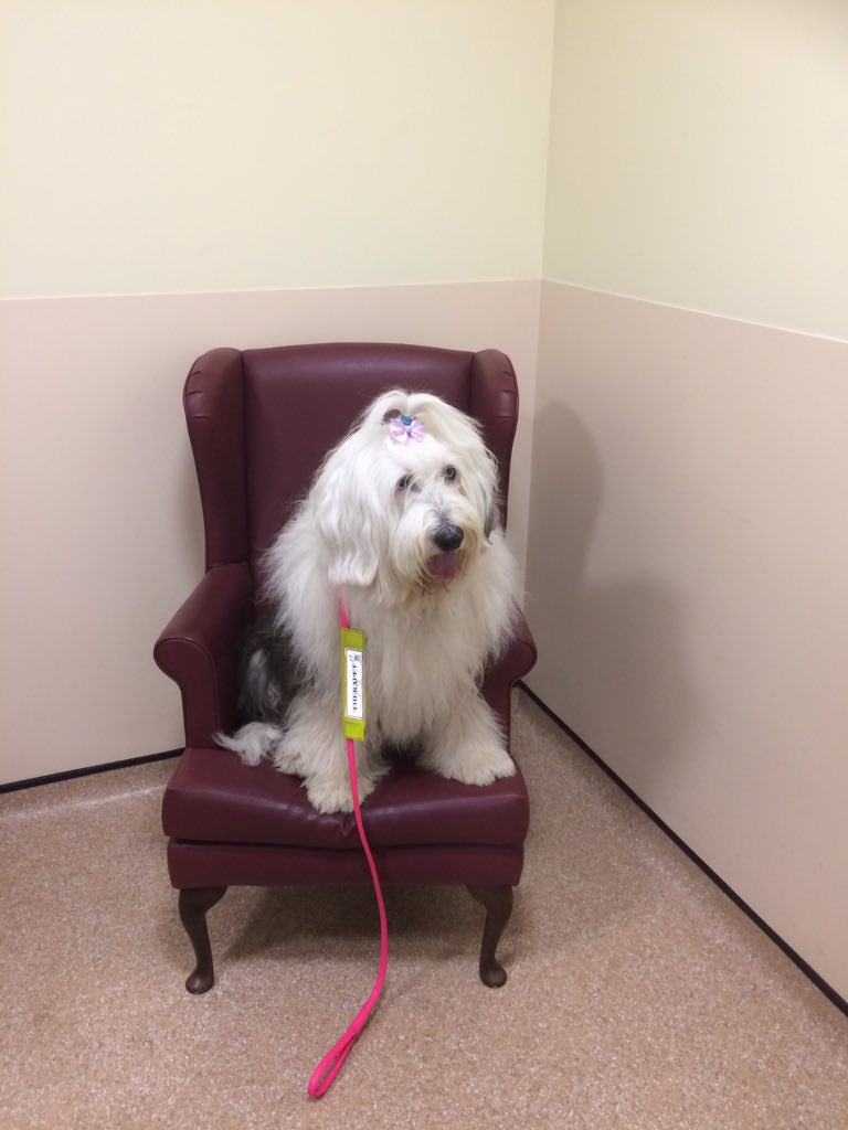 Eileen Clarke tweet media