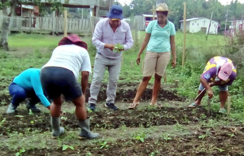 Fercho_Cruz90's tweet photo. #GranMingaAgropecuaria | Equipo técnico #PITTPA brinda asistencia técnica y seguimiento a huertos familiares del grupo de mujeres del recinto Chunguillo, ubicado en la parroquia Rocafuerte del cantón Rioverde. https://t.co/SyU1OzjV5e