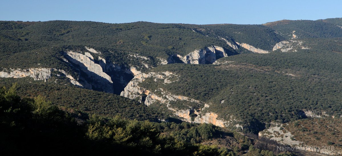 Mirando y remirando uno de mis territorios de campeo: el Cañón del Río Vero (Sierra de Guara, Huesca). Al fondo el Bco de la Choca, a la izda el #Somontano y a la dcha #Sobrarbe. Aquí ambas comarcas se abrazan.