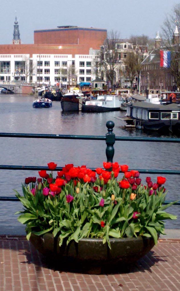 Astrid Nielen tweet media