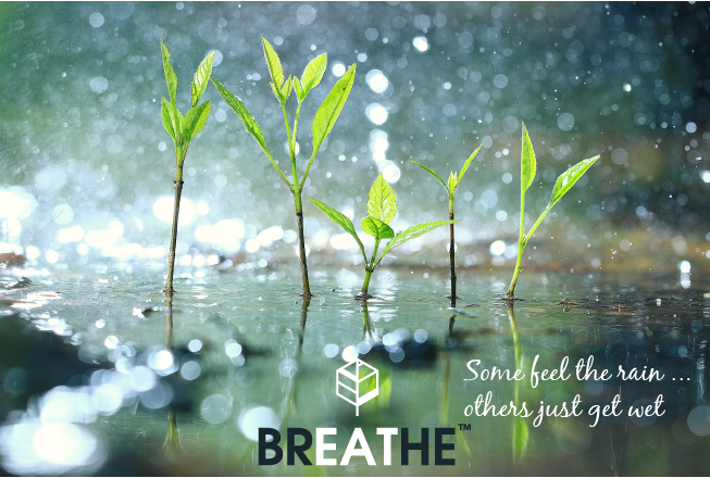 BREATHEmarbella's tweet photo. 🌧🌧😊🙌🌧🌧🐛🌱🌿☘️🌧🌧🍀🐌🌱🍀🌱🌿🐸☂️🌧🌧
#Breathe #BreatheMarbella #Marbella #Marbellalifestyle #PuertoBanus #Restaurant #Costadelsol #rainydays #gastronomy #Marbellarestaurant #gourmet https://t.co/ikVxDmRP0t