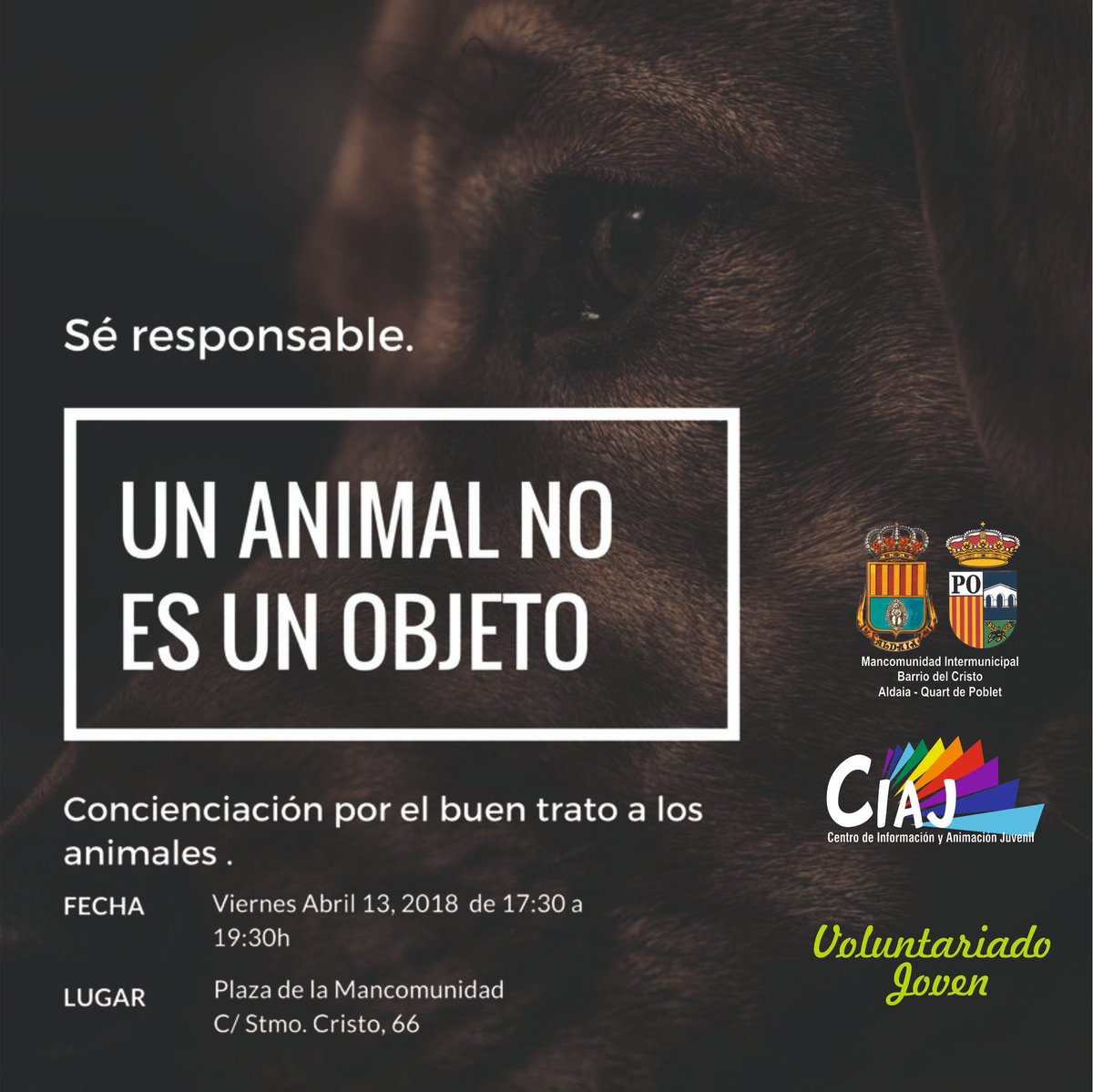 UN ANIMAL NO ES UN OBLETO: Respeto y responsabilidades. Viernes 13 de abril de 17:30h a 19:30h en la plaza del ayuntamiento (Barrio del Cristo)
Juegos , stands informativos, Refugio Aquiles y mucho más.
Organizan Grupo de Voluntariado <a href="/CIAJBCRISTO/">CiajBarriodelCristo</a> y <a href="/BarriodlCristo/">Barrio del Cristo</a> <a href="/Lucia46960/">Lucía A.Fdez Sevilla</a>