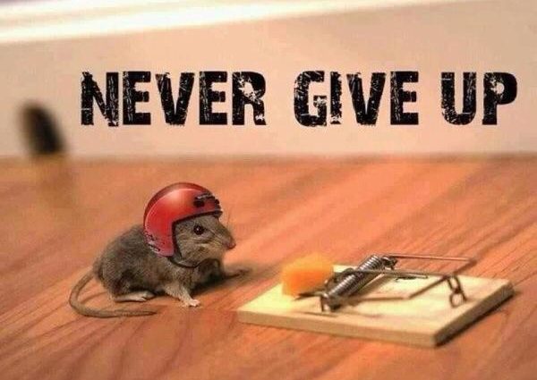 UWofficially's tweet photo. How's your week going? Here's a little motivation to push yourself!
#UnlimitedWords #WednesdayMotivation #WeekendAhead #Weekend #WednesdayThoughts #Bahrain #BahrainStartup https://t.co/XdvhNdOyZD