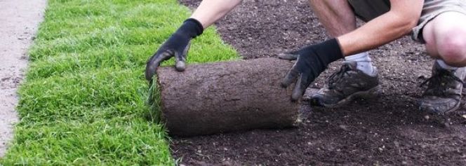 Comment poser du gazon synthétique en rouleau ?
goo.gl/J6KB5m
#rouleau #gazon #pose #jardin #jardinage #extérieur
