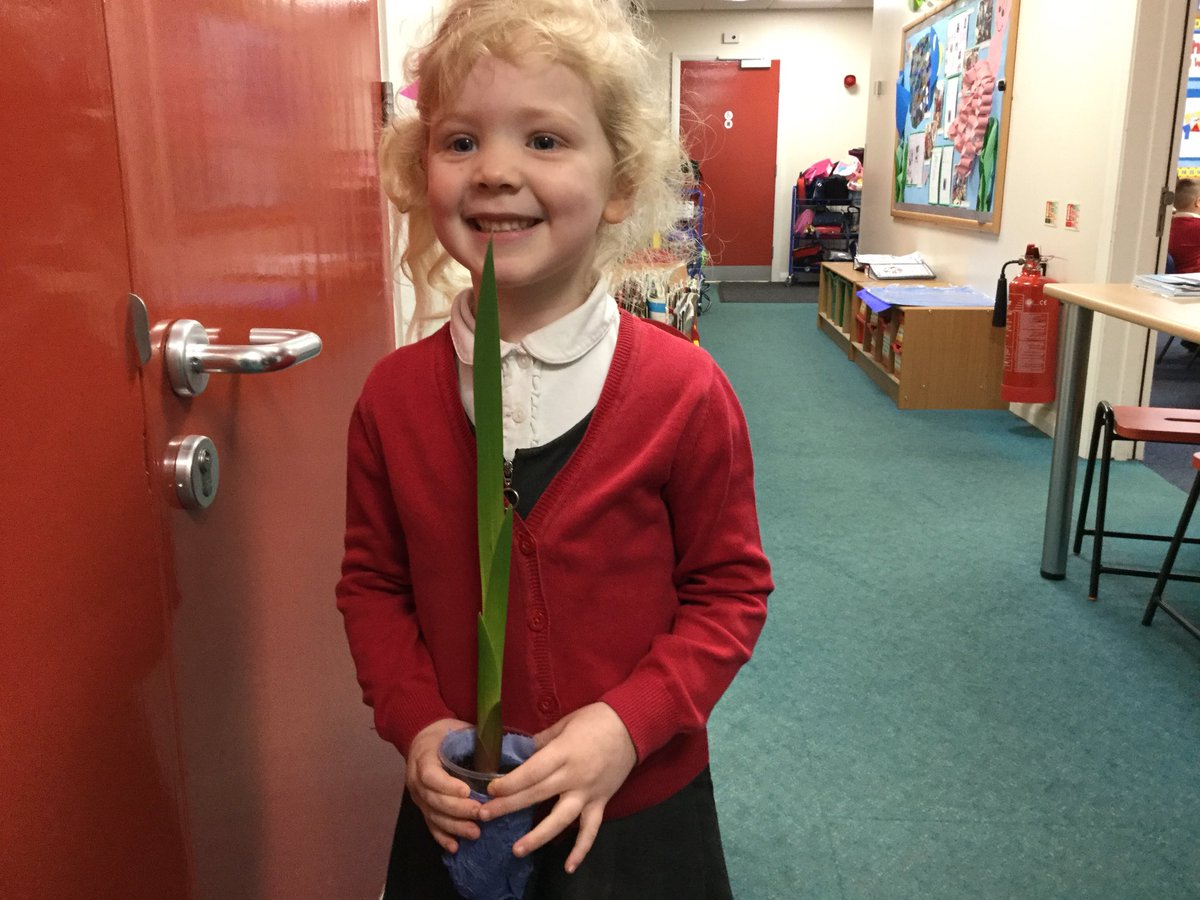 WMOutdoor's tweet photo. Look how much this bulb has grown. #plantingwithparents ❤️🌱 keep watering it! @WMPrimaryF1 https://t.co/pHg2w9A2SO