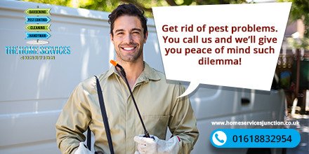 How do you get rid of pest problems? You call us and we’ll give you peace of mind such dilemma!
#pestcontrol #pest #homeservicesjunction #manchester #getridofpests #warrington 
homeservicesjunction.co.uk/service/pest-c…