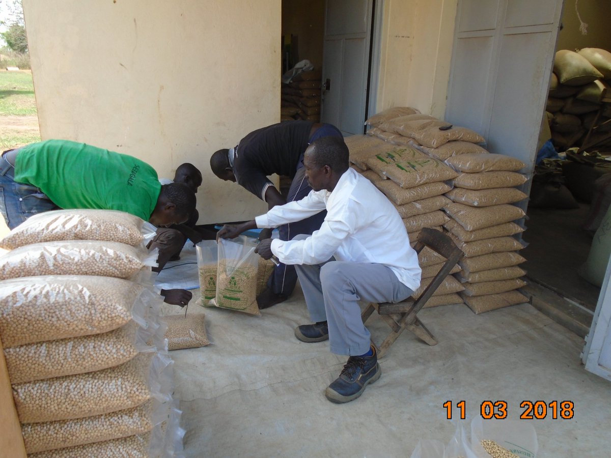 cjadong's tweet photo. Packaging QDS in Alito Joint LSB in Kole District - A way of enhancing sales of QDS in small packs to small holder farmers @issd_uganda https://t.co/54uxHvXUG9
