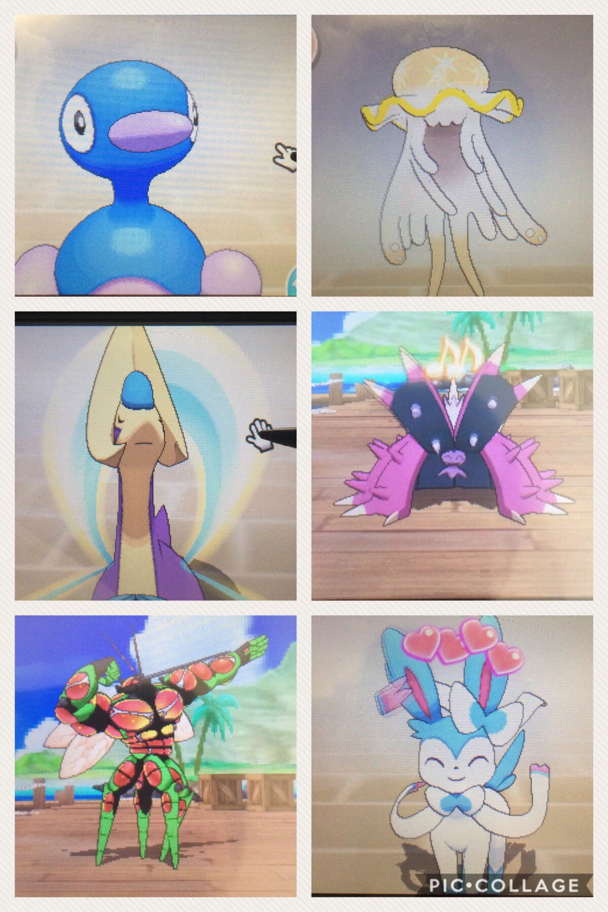 テリー ポケモンにわか廃人 ポケモン好きの高校生です ポケモン自体はbwからで厳選とかはorasから 最近は色違い厳選をやっています 対戦は弱いですがよろしくお願いします ポケモン ポケモンusum ポケモン好きと繋がりたい テリー ポケモンにわか廃人 ポケモン好きの高校生です ポケモン自体はbwからで厳選とかはorasから 最近は色違い厳選をやっています 対戦は弱いですがよろしくお願いします ポケモン ポケモンusum ポケモン好きと繋がりたい