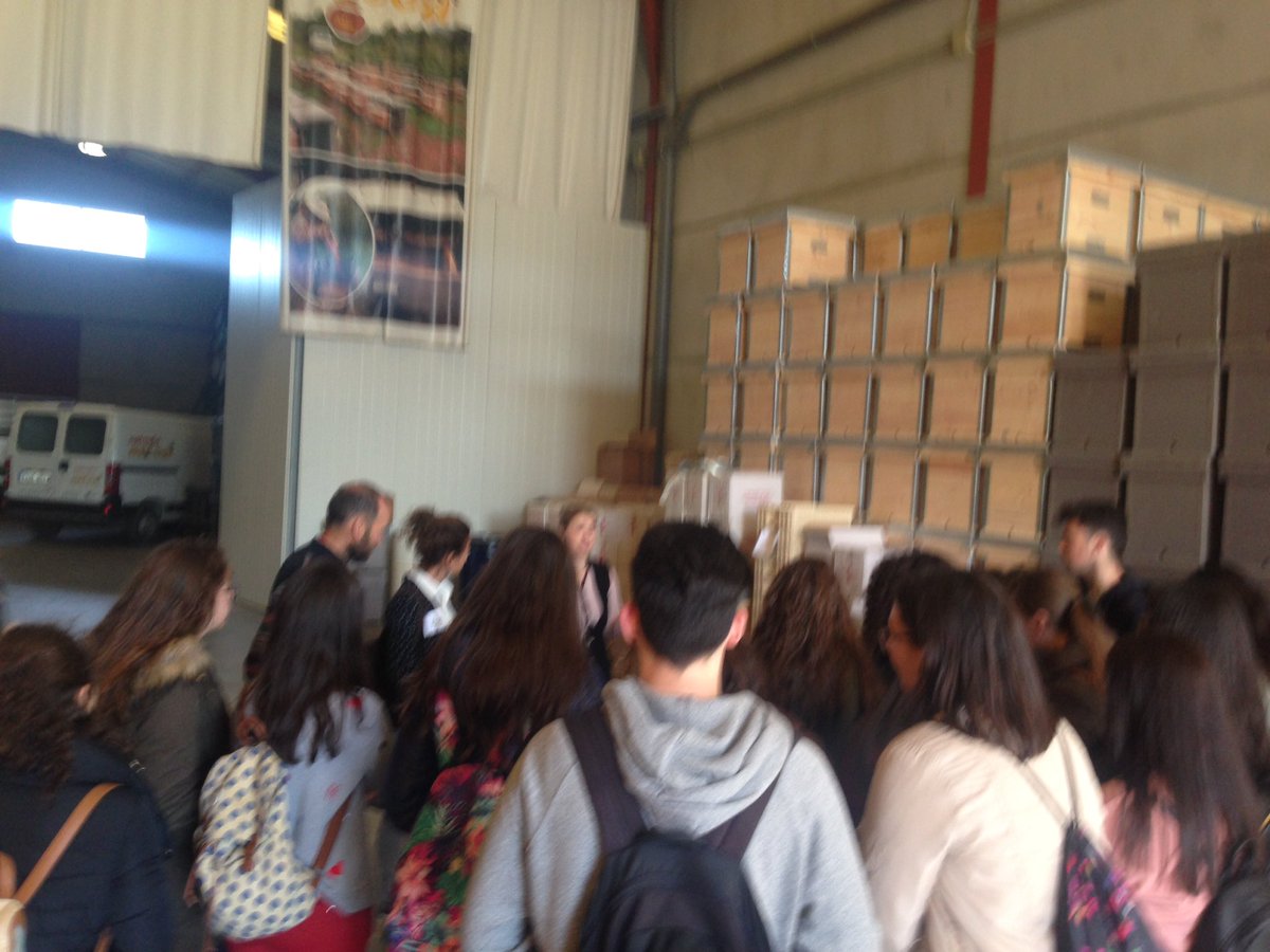 GMediando's tweet photo. @gdrguadalhorce @iesfuenteluna Ni parpadean... tantos productos naturales salen de la abejas y Milosi aquí al lado ♥️ @IESValleDelSol @IESLicinio_Coin @gdrguadalhorce https://t.co/3FDz9lmAcs