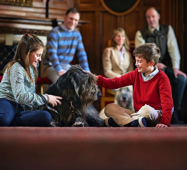 red_carnation's tweet photo. Resident wolfhounds at @ashfordcastle, Cronan and Garvan are friendly giants who love to meet the hotel guests. Join them on their morning walk around the estate or meet them in the Oak Hall and discover just how big these brothers really are. #RedCarnationPets 🐾#NationalPetDay https://t.co/zTLbT88ubd