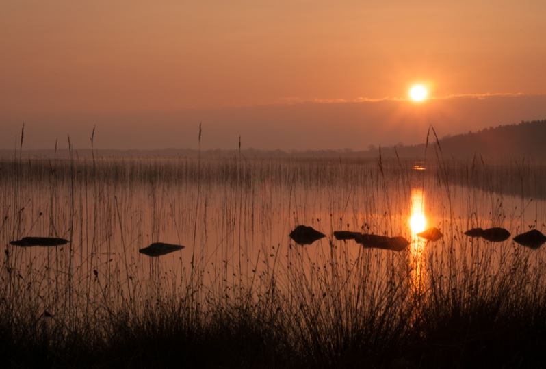 WatersProgramme's tweet photo. Local community come together to protect Lough Carra. Which is listed a priority 'Area for Action' in the forthcoming River Basin Management Plan for Ireland #RBMP2018  Carra https://t.co/0bL5mEjX8v https://t.co/Dp32oC4bGN