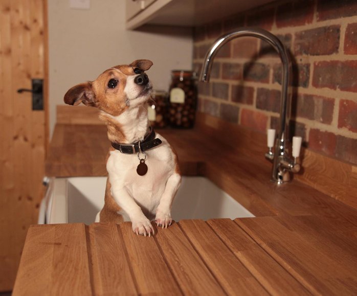 WEXTrade tweet media