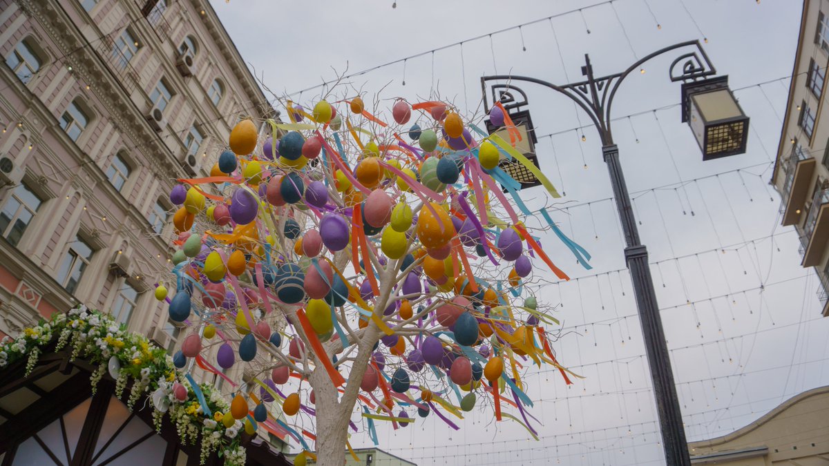 Илья Соловьев tweet media