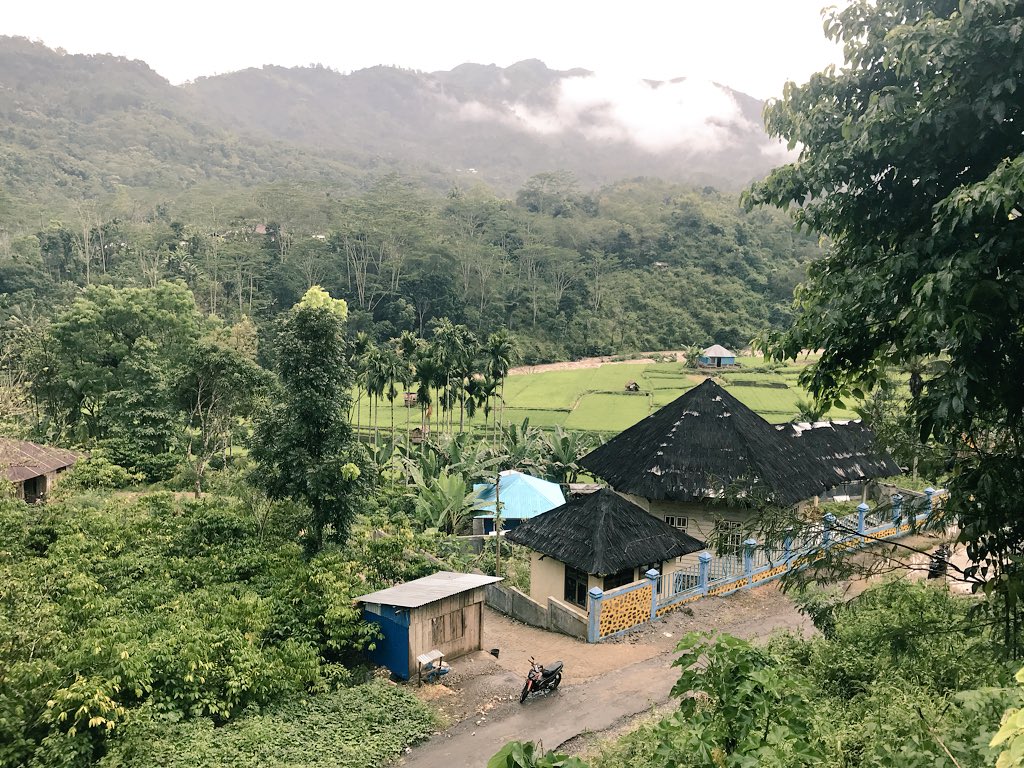 egveatch's tweet photo. Sad to be missing the #SAA2018 and #AAPA2018, but I’m pretty happy where I am #Liangbua #teamfauna #Flores #homofloresiensis #archaeology #zooarchaeology #ethnoarchaeology #rathunting https://t.co/ckO63kRYeY
