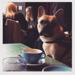 Photo by The Refinery Bar (@refineryedin)
