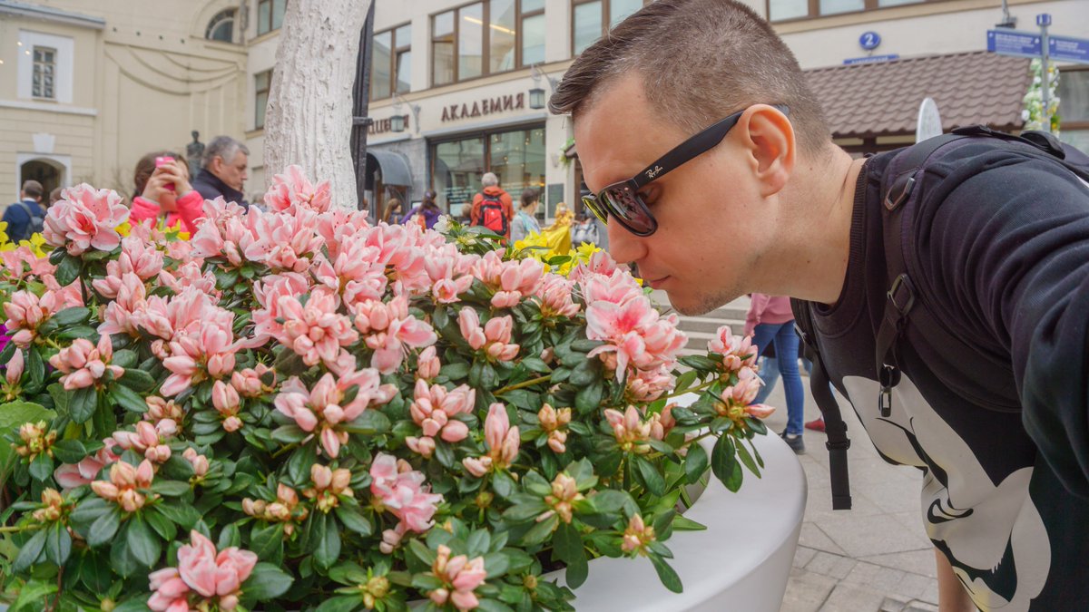 Илья Соловьев tweet media