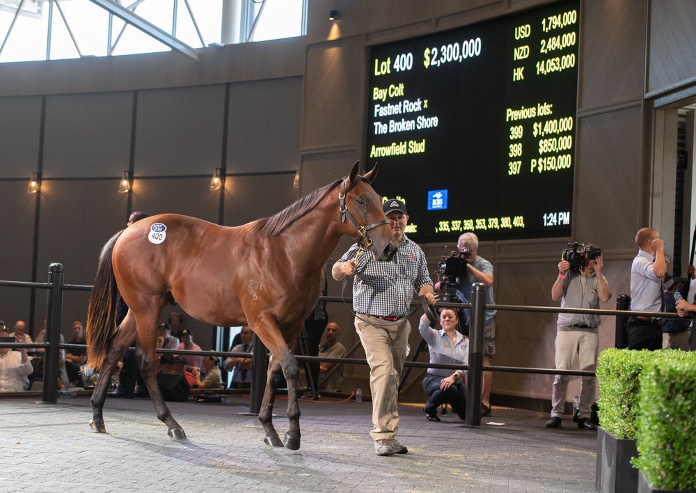 inglis_sales's tweet photo. NEWS: #InglisEaster concludes as the second best in history. Top Lot of $2.3m knocked down to @FreedmanRacing today from @ArrowfieldStud. So many highlights form the past 3 days at #RiversideStables. READ MORE: https://t.co/jtXuy48PcG https://t.co/XHCLXcCjWD