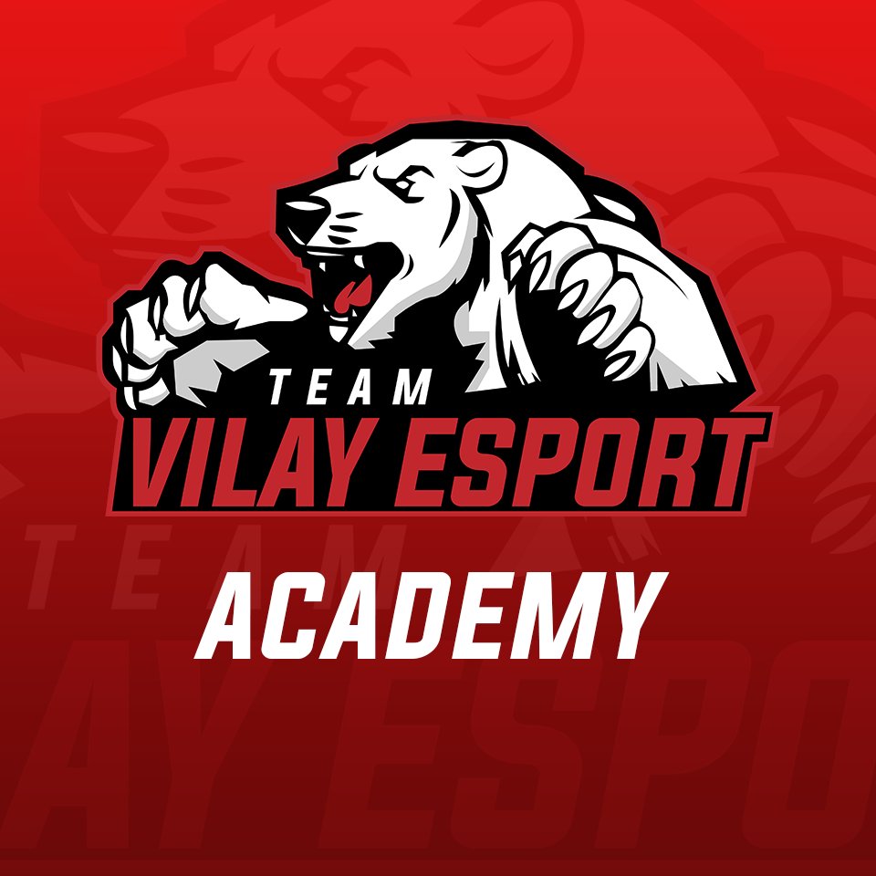Vilay Esport tweet media