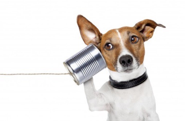Sorry our phones are currently down, if you need to contact us please send us an email info@gonalsonfarmshop.co.uk.  We are trying our best to resolve the problem.