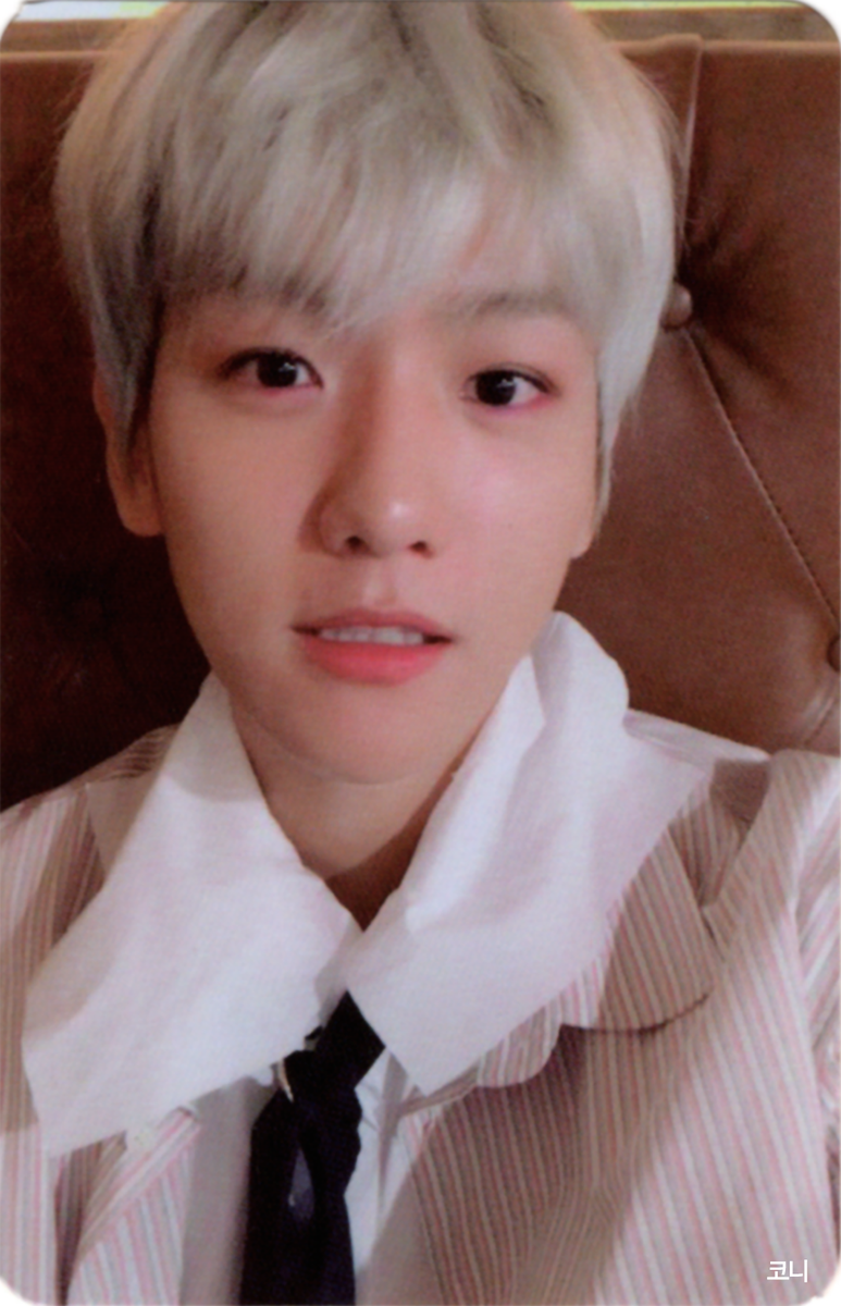 50604B's tweet photo. [SCAN] 첸백시 Blooming days 포카 스캔 #백현 #BAEKHYUN
🌸 https://t.co/dOVPx6ZGFu
🌸 https://t.co/oQolFkpysJ
🌸 https://t.co/7nZMupwKZ1
🌸https://t.co/GVeRSa8xbM https://t.co/To7cgmyePT