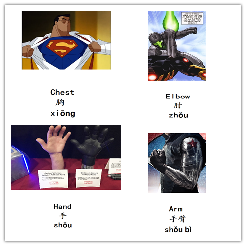 wearenowdo's tweet photo. Chinese Body Parts Vocabulary. #Chinese #English #Language #Translation https://t.co/iHP7hWmsIF