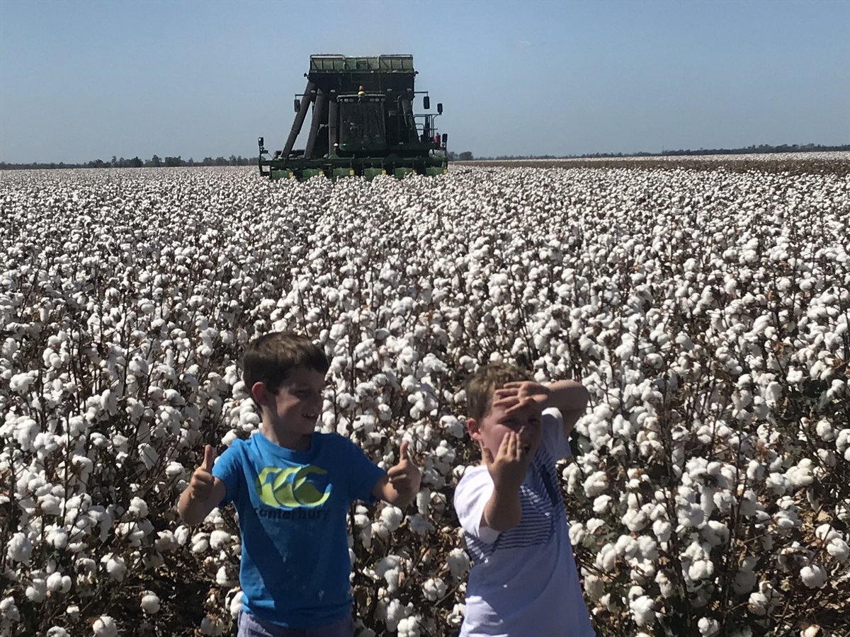 Holiday fun on the farm #cotton18 picking <a href="/CottonAustralia/">Cotton Australia</a> <a href="/nuffieldaust/">Nuffield Australia</a> <a href="/CottonInfoAust/">CottonInfo</a>