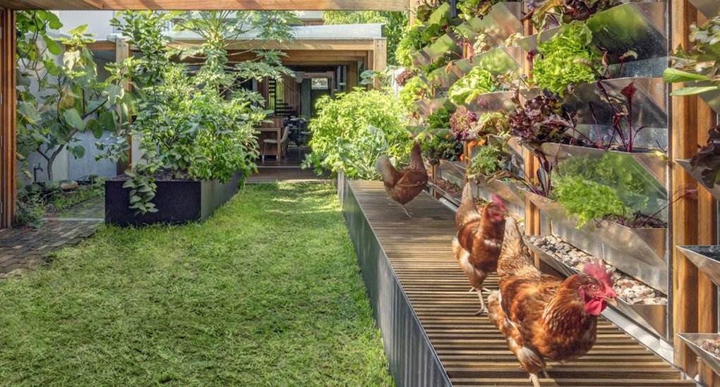 imodhaus's tweet photo. Esta casa australiana autosuficiente cosecha sus propios alimentos, energía y agua https://t.co/uBmj18OJrw https://t.co/9HvBL0fdfc