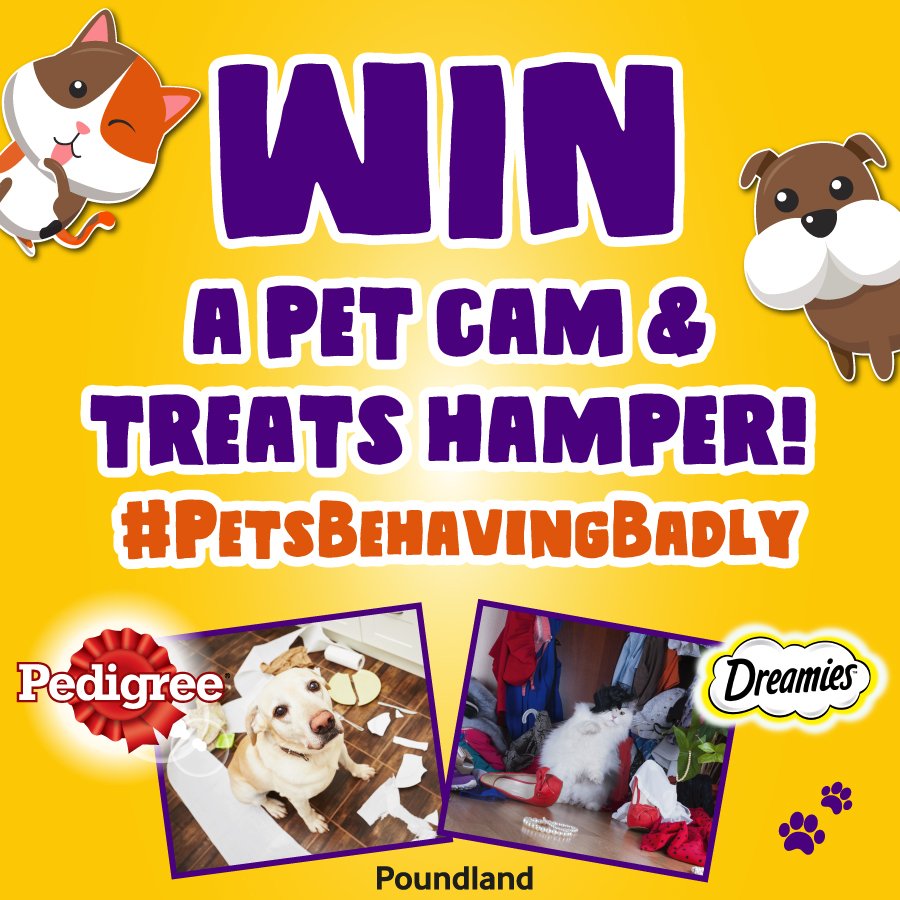 Poundland's tweet photo. Happy #NationalPetDay! There's still time to enter for the chance to WIN a pet camera and treats hamper. Simply share a video or pic of your pet misbehaving with #PetsBehavingBadly to enter. Gallery: https://t.co/x7zwsWGrBp https://t.co/rIoP9bzIr5