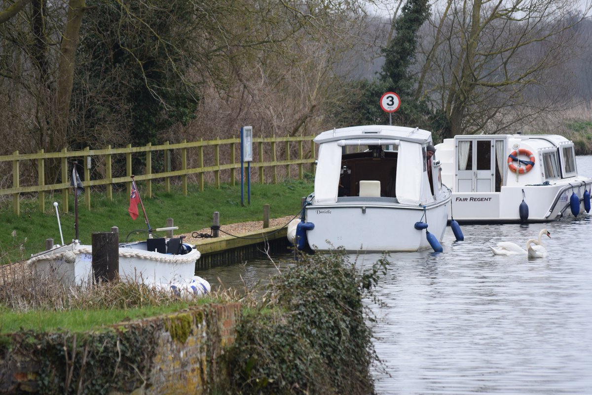 Big Dog Ferry (BigDogFerry) Twitter