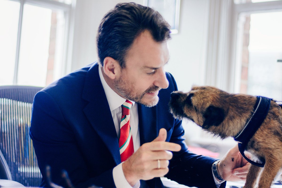 worksrec's tweet photo. Happy #NationalPetDay. This is our gorgeous Jean-Jacques, cute isn't he? He loves meeting new people, so pop in and say hello and he might nibble your ear!

#Leeds #dogs https://t.co/XhCoWEGUxQ