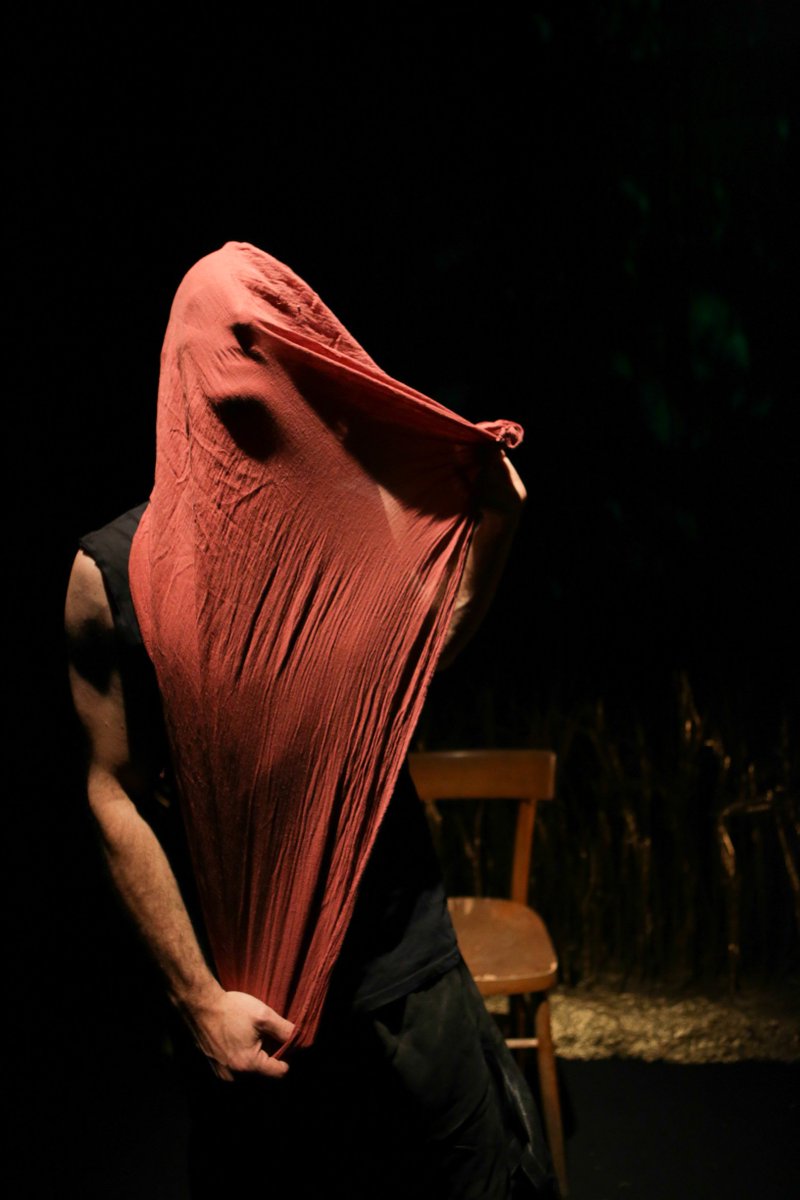 #Igigantidellamotagna, questa sera al #TeatroVascello di #Roma 
#savethedate #Romantada bis