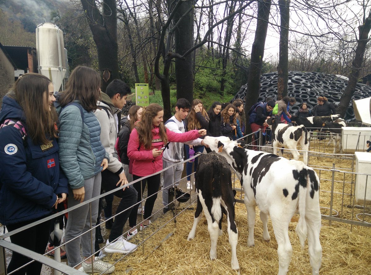 MariaNavarroGir's tweet photo. La pluja ens ha donat una tregua i estem gaudint de la visita a la Cooperativa La Fageda #espaideprojectes2n #tutoria #mediumaevum @INS_Pla_Marcell @mvictoriacaner https://t.co/3g9jBu0aKI