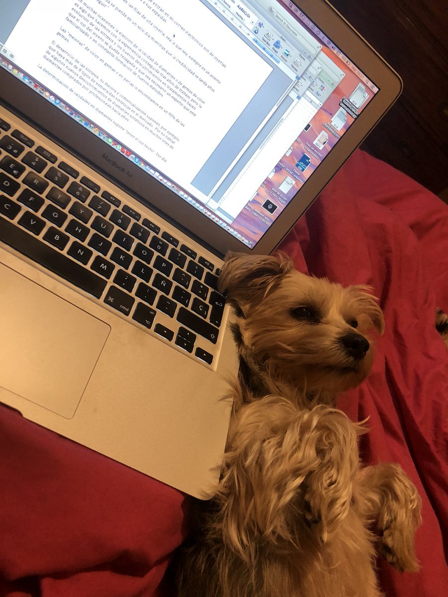 tasandojoyas's tweet photo. ¡A tasar todo el mundo! 

#dog #puppy #work https://t.co/S8xFtDWxyR