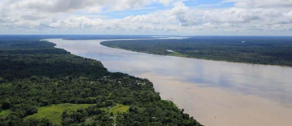 tveitdal's tweet photo. The Amazon rainforest now has the same legal rights as you
https://t.co/QFRriWipOT
Colombia's highest court has told the government it must take urgent action to protect its Amazon rainforest and stem rising deforestation @RainforestNORW https://t.co/VNzYmqmjHm