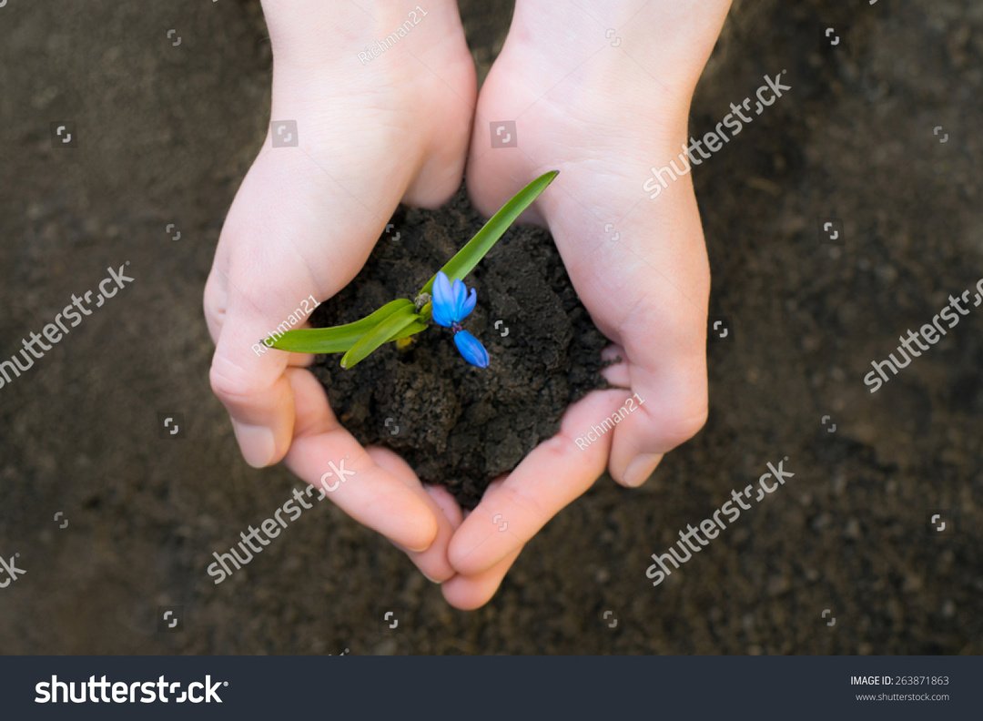 RichmanStudio's tweet photo. Earth Day. environmental protection
๐ฅ #Shutterstock https://t.co/Hq0v96SoR5
๐ฅ #Istock https://t.co/xOoAUlCUXP
๐ฅ #Adobe https://t.co/9adJj5mCa1
#stockphoto #stock #EarthDay #ifbย #EarthDay2018 #RecycleShipย #loveourplanet #saveourplanet https://t.co/pWU1TmG4Ip https://t.co/mo4c4gFEqE