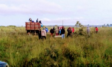 Ver imagem no Twitter