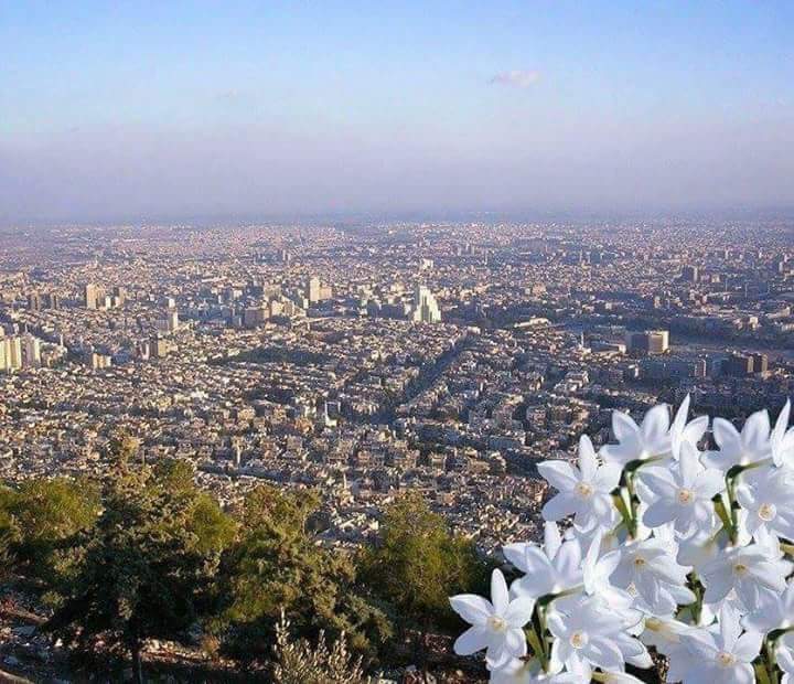 دمشق عشقي و عشق السنين فلا تستغربوا إن كتبت دوما لها من شفاهي يسقط الياسمين  حين أذكر يومااسمها دمشق مرسومة على كل جبين انحنى على تراب أرضها هي فل وريحان والنارنج يعبق في جدرانها معشوقتي ومعشوقة الملايين وكل العصور عصورها تجري دمشق بوريدي ولشرايين فلا تسألوني إن سالت دمائي بلونها