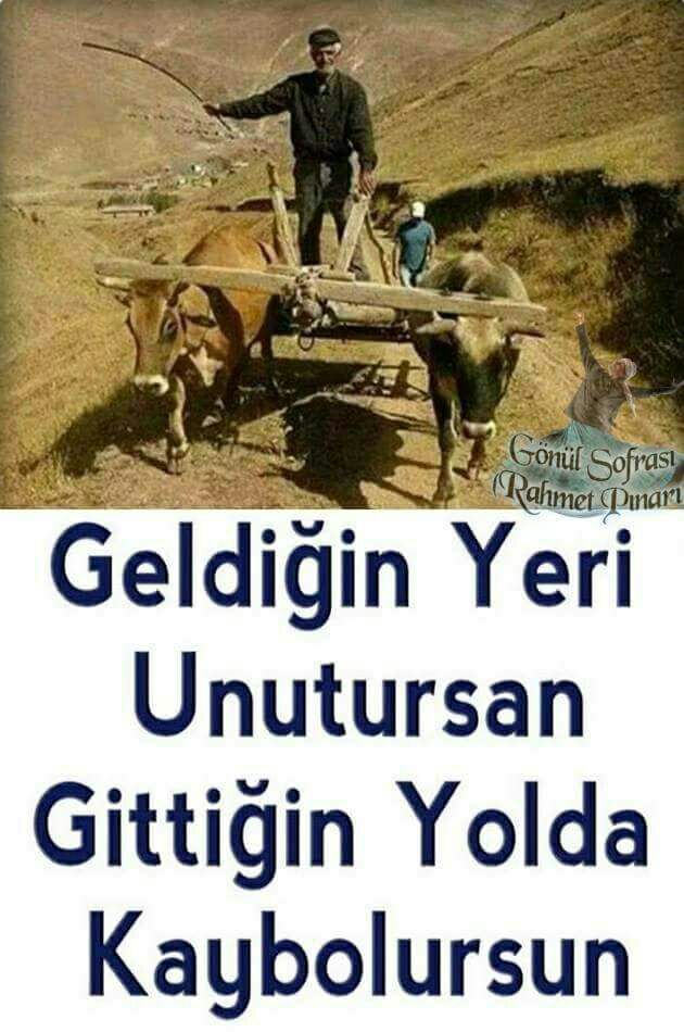 Sinan05403053's tweet photo. https://t.co/f5Mh0tKn1f