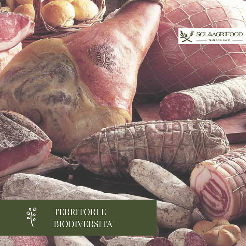 SolAgrifood's tweet photo. Non solo vino a #vinitaly! Scopri il programma di Sol&Agrifood, Padiglione C - Veronafiere #solagrifood #Vinitaly2018 @pressVRfiere #verona #11aprile https://t.co/7NuUIygYNK https://t.co/PI5FMJKrjo