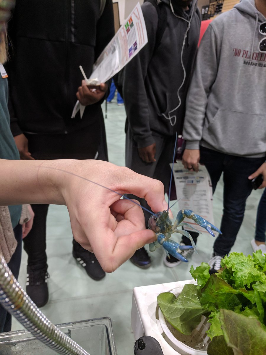 FDHSBookJockey's tweet photo. Lots of fun happening during the #IdeaFestival #MakerFaire #CollegeFair hosted by @FDHSacademies #FDHSBethe1st https://t.co/whdkdIhNAA