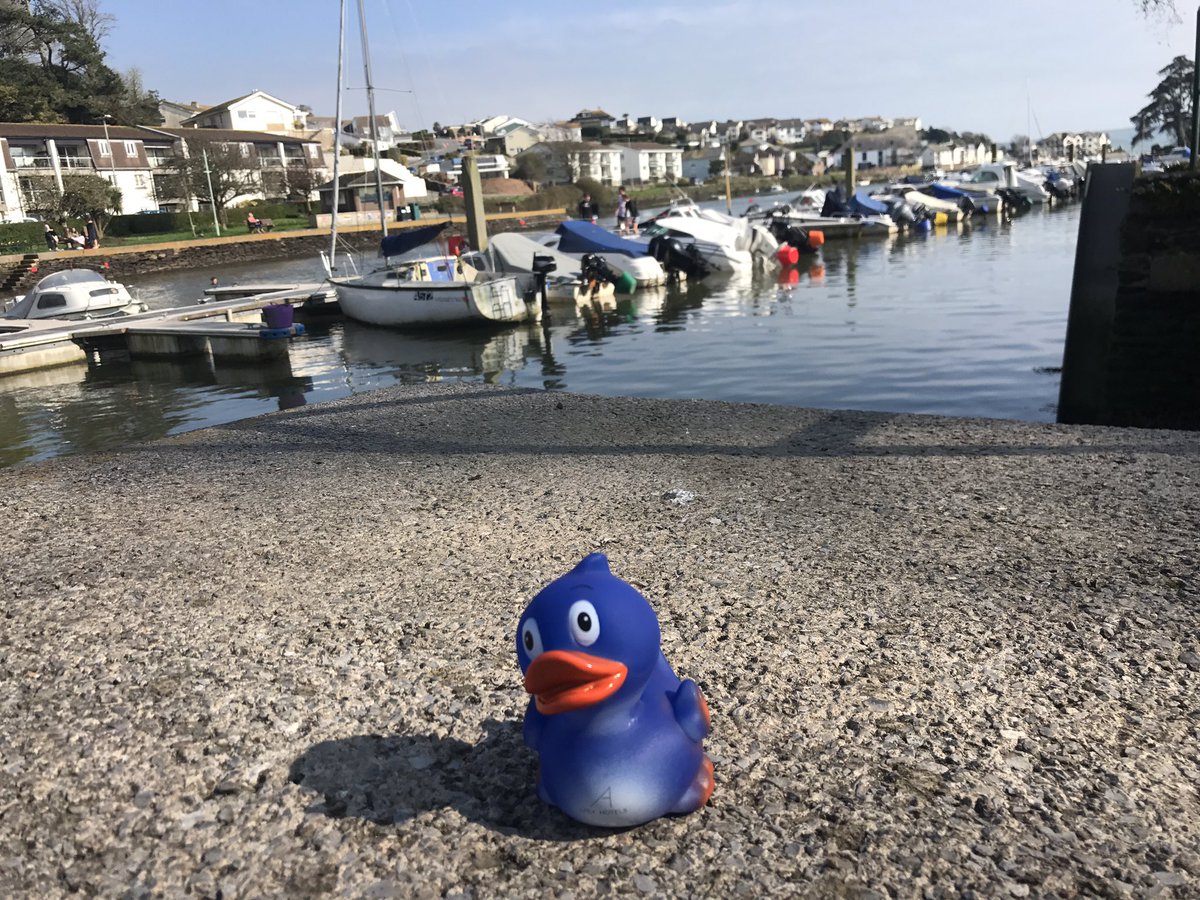 GemmaEdmonds's tweet photo. My #ApexDuck has made it home to #Sunny #SouthDevon ! Lovely trip to @ApexHotels #Bath to chat all things @Springboard_UK https://t.co/2iAIsjfyqs
