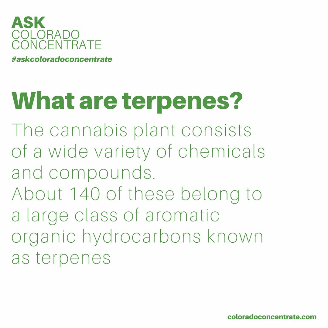 Do you know what terpenes are? 🤔💭