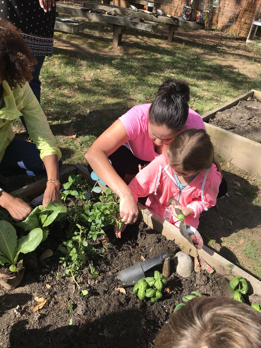 missfields1st's tweet photo. Planting herbs in our literacy garden after reading The Very Hungry Caterpillar @MPE_Mustangs #mpesem https://t.co/dkGvWKFMdY
