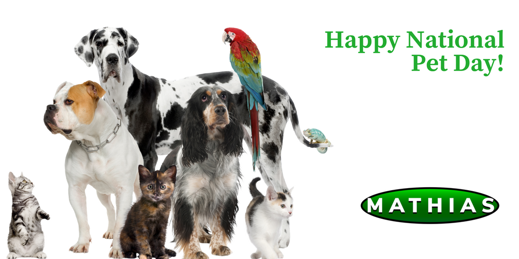 MathiasSecurity's tweet image. It&apos;s National Pet Day! Let&apos;s celebrate our furry, scaled, slimy and feathered friends. What kind of pet do you have?