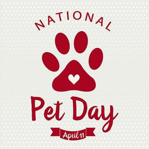 BigDogShopping's tweet image. Happy National Pet Day! Make sure to treat your furry friends to something nice today. #NationalPetDay #BigDogs